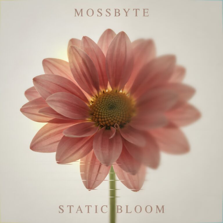 Static Bloom cover